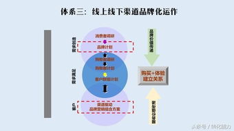 打造品牌核心競爭力 品牌管理三步五體系實戰(zhàn)指南